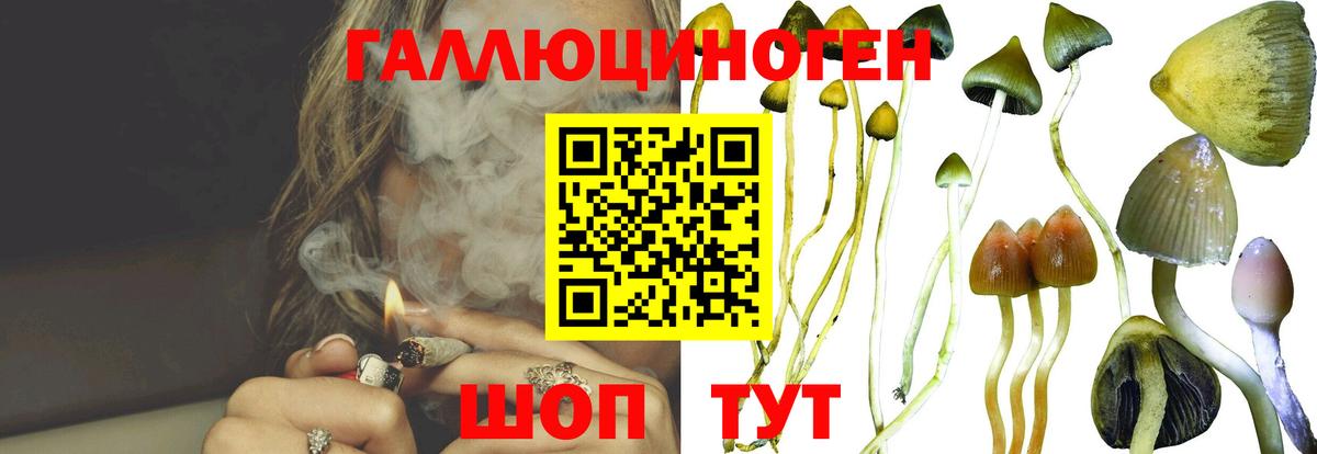 Галлюциногенные грибы прущие грибы Новошахтинск