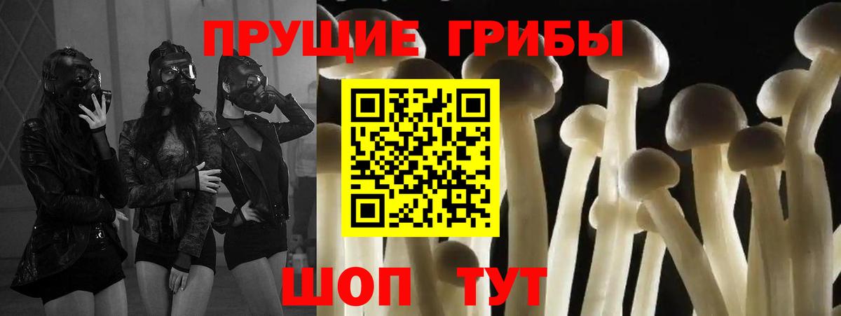Новошахтинск  Псилоцибиновые грибы Cubensis  Вход с VPN  Псилоцибиновые грибы мицелий 
